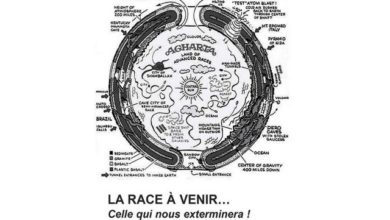 La race future ou la race a venir